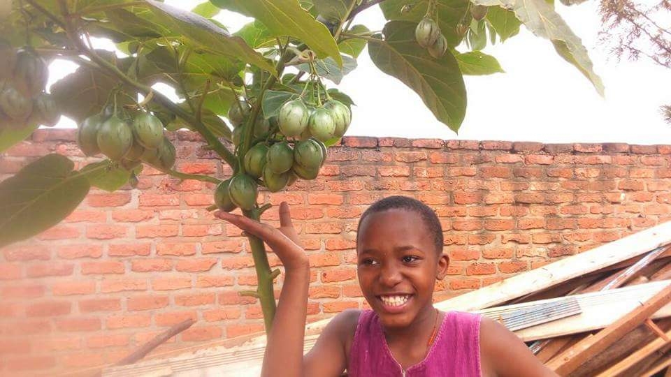 Preventing Heart Disease In Uganda: ‘Movement of Life’ Plants Over 12,000 Vitamin-Rich Fruit Trees