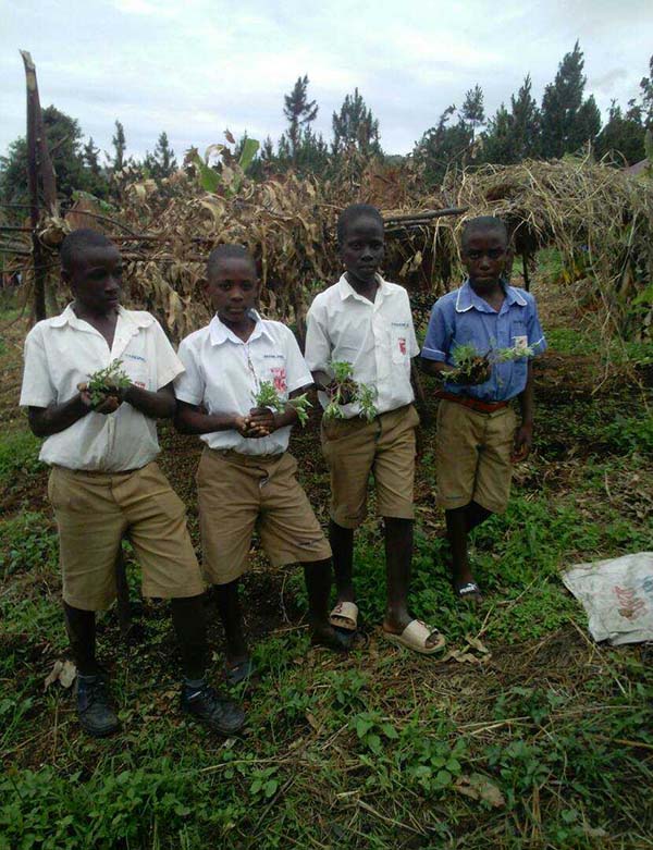Dernières photos du projet du Parlement de la santé scolaire à l’école primaire intégrée bujaga en Ouganda