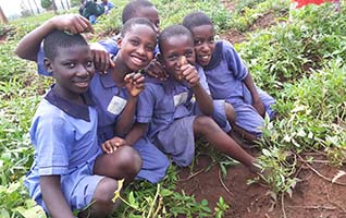 Latest photos from the School Health Parliament project in Uganda