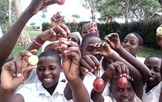 Nous sommes fiers d’annoncer que 17 écoles participent maintenant au projet du Parlement de la santé scolaire en Ouganda!