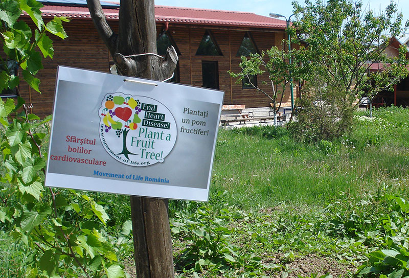 End Heart Disease: Plant a Fruit Tree campaign in Romania – Visiting our first fruit trees 6 months later – April 2016