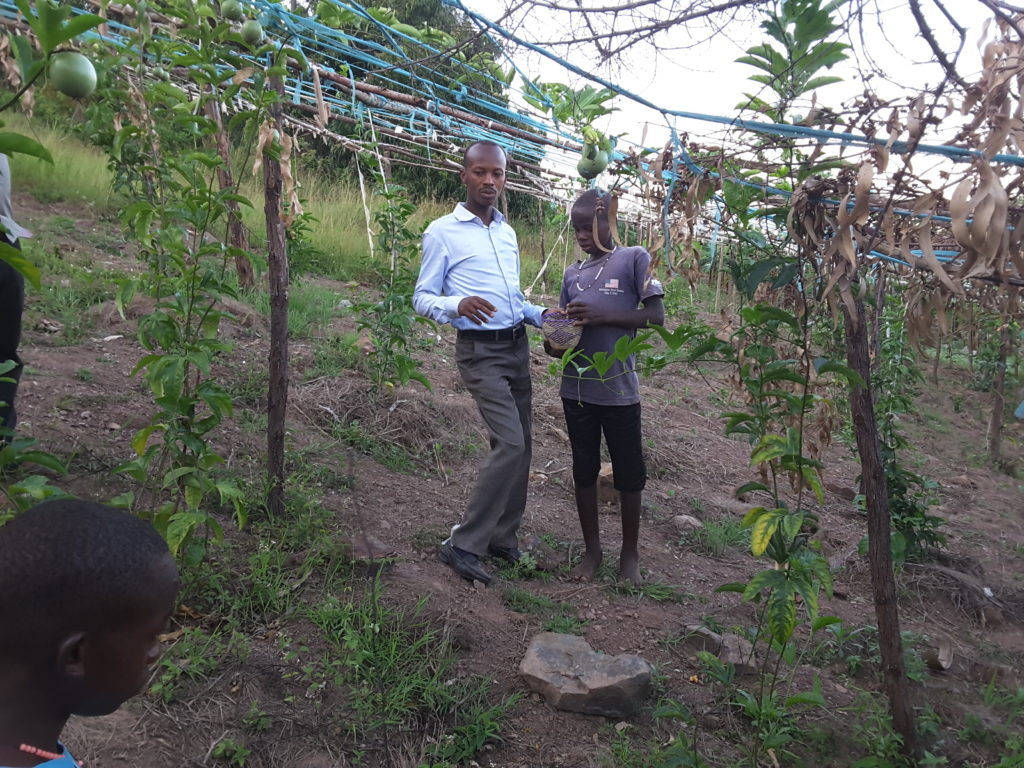 Mise à jour sur le jardin d’Amanya Emmanuel, Mouvement de la vie Ouganda