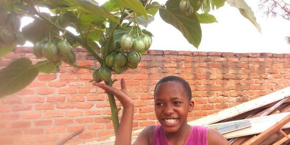PRÉVENTION DES MALADIES CARDIAQUES EN OUGANDA : « MOVEMENT OF LIVE » PLANTE PLUS DE 12 000 ARBRES FRUITIERS RICHES EN VITAMINES.