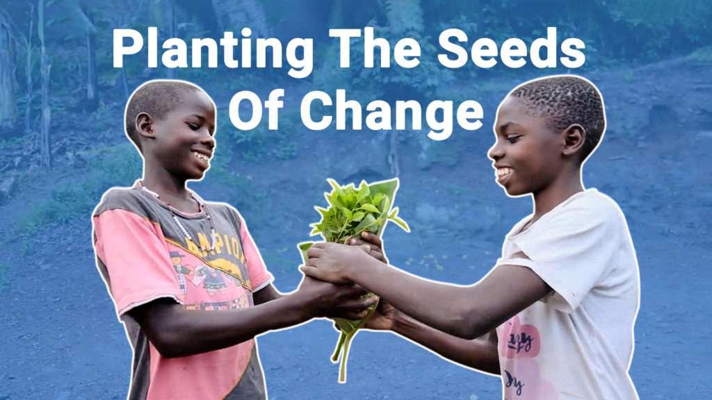 Planting The Seeds Of Change