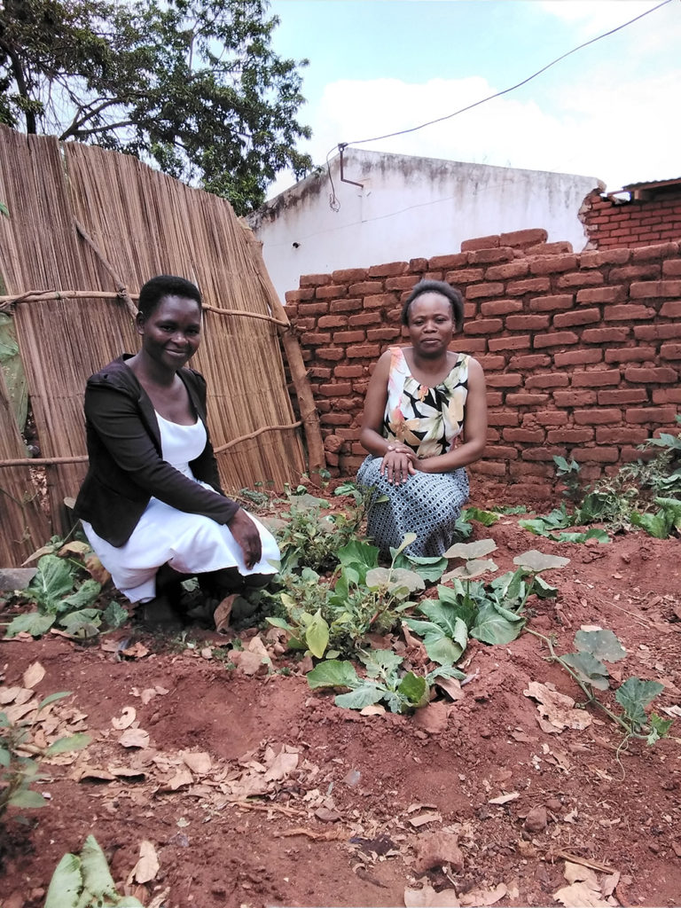 Latest photos from our Movement of Life Malawi community gardening project