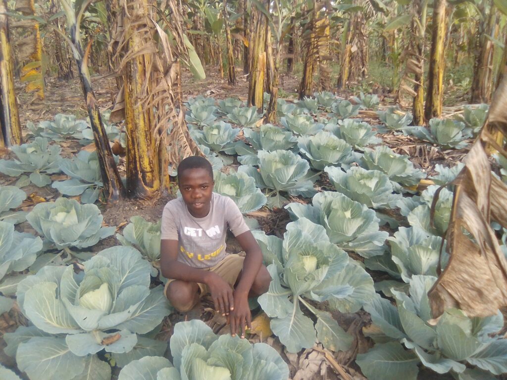 Latest photos from community gardening project in Uganda