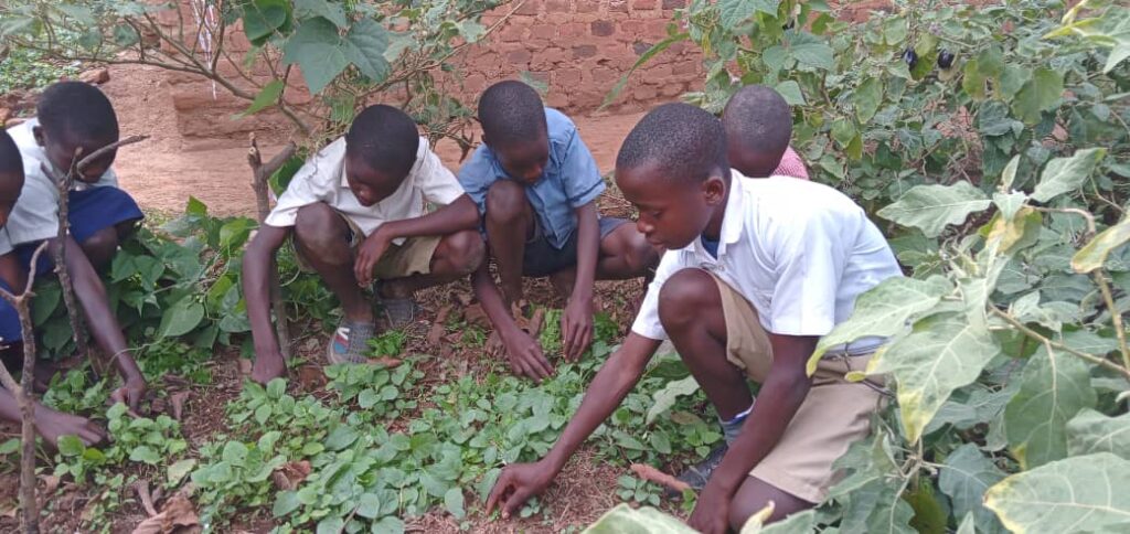 Movement of Life Uganda team aims to reach target of 50,000 fruit trees planted by end of December 2022